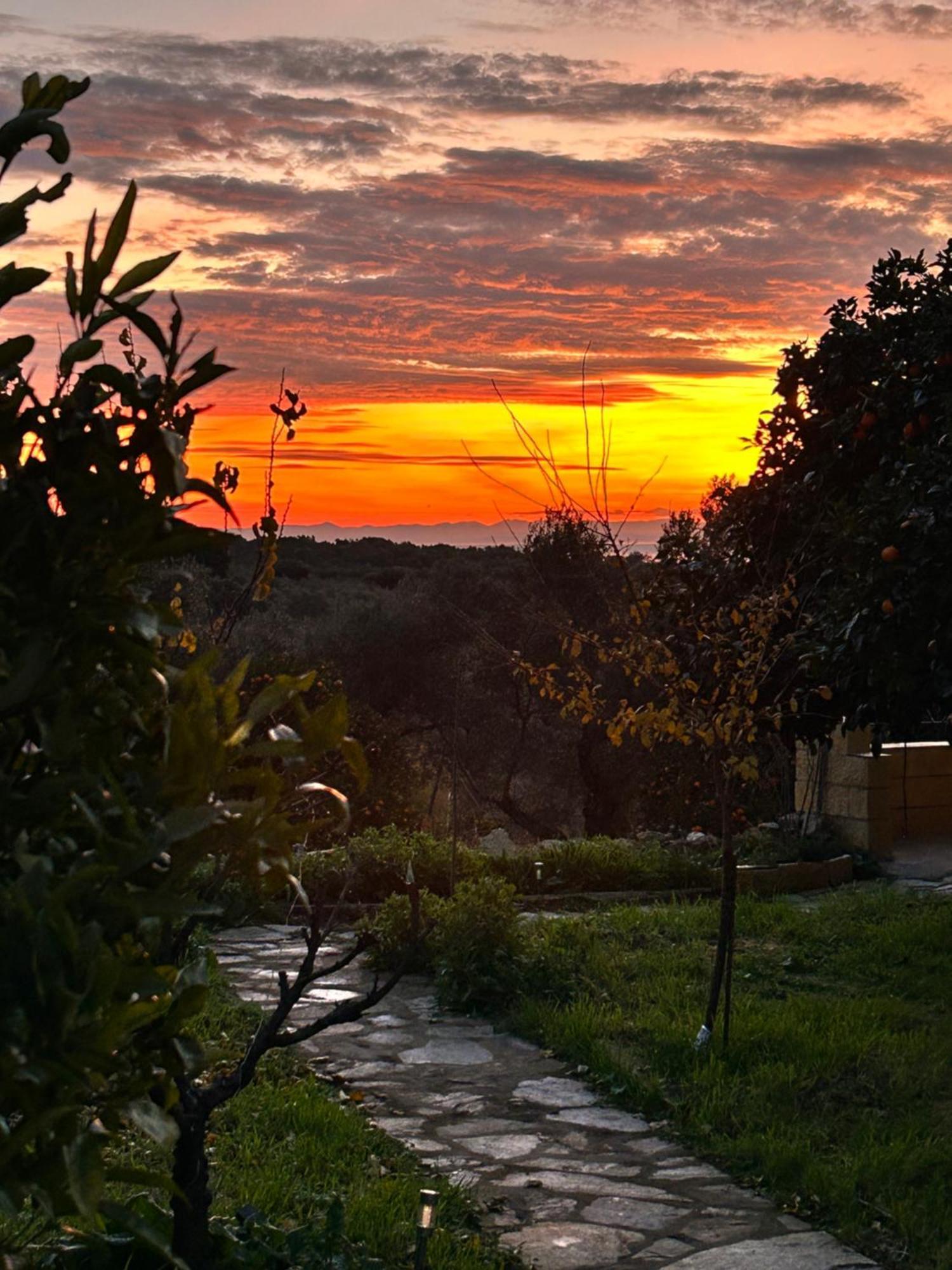 Los Naranjos Eco Home Apartamentos Rurales Casas de Millan エクステリア 写真